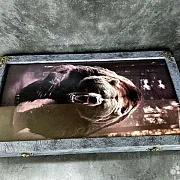 Нарды под стеклом «Свирепый медведь» — необычный подарок — фотография 10