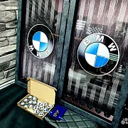 На память: Нарды под стеклом «BMW» — фотография 8